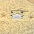 member face