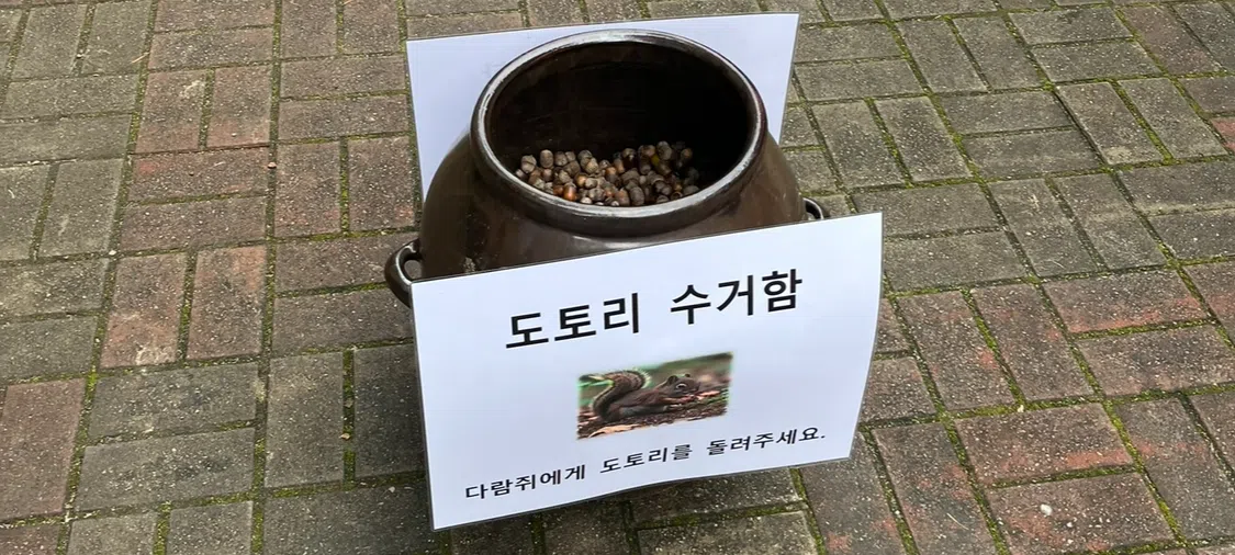 모임 이미지 1