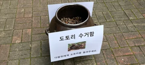 모임 대표 이미지