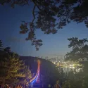 member face