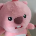 member face