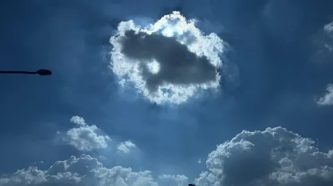 정모 대표 이미지