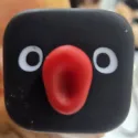 member face