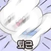 member face