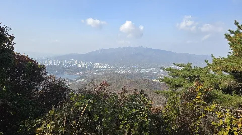 정모 대표 이미지