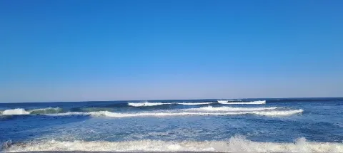 모임 대표 이미지