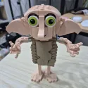 member face