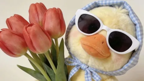 정모 대표 이미지