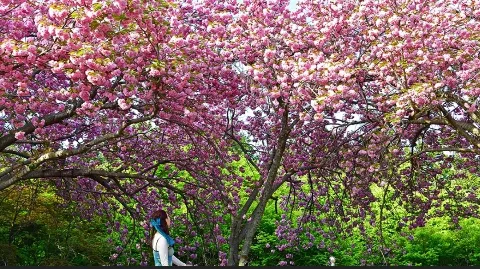 정모 대표 이미지