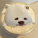member face