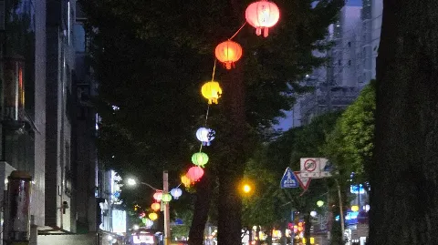 정모 대표 이미지