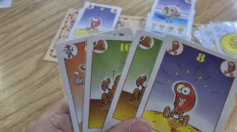 정모 대표 이미지