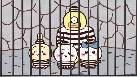정모 대표 이미지