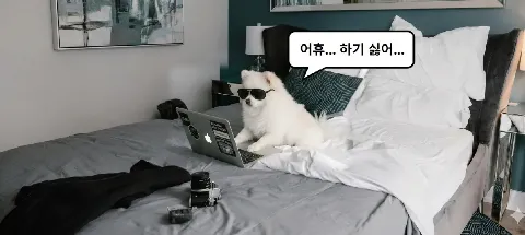 모임 대표 이미지