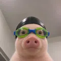 member face