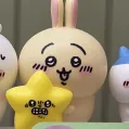 member face