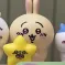 member face