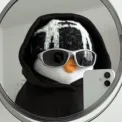 member face