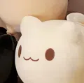 member face