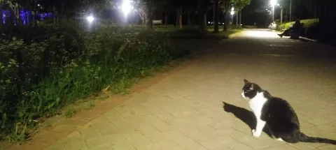 모임 대표 이미지