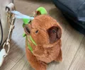 member face