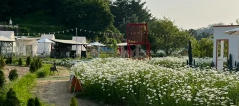 모임 대표 이미지