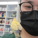 member face