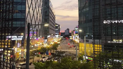 정모 대표 이미지
