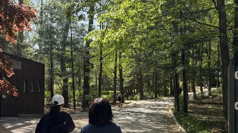 정모 대표 이미지