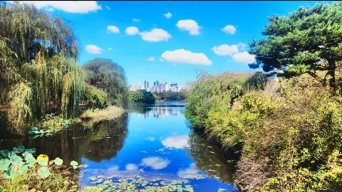 정모 대표 이미지