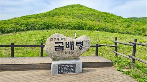 정모 대표 이미지