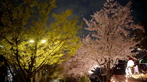 정모 대표 이미지