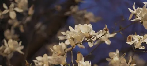 모임 대표 이미지