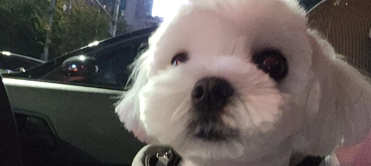 모임 이미지 1