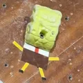 member face
