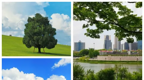 정모 대표 이미지