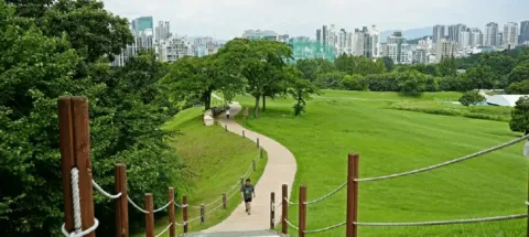 모임 대표 이미지