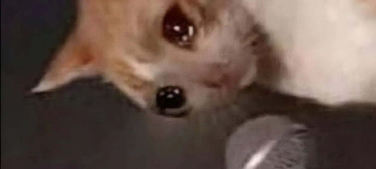 모임 이미지 1