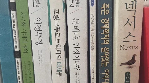 정모 대표 이미지