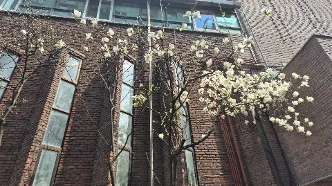 정모 대표 이미지