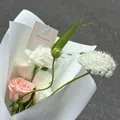 member face