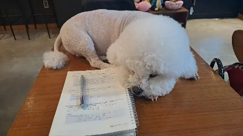 정모 대표 이미지