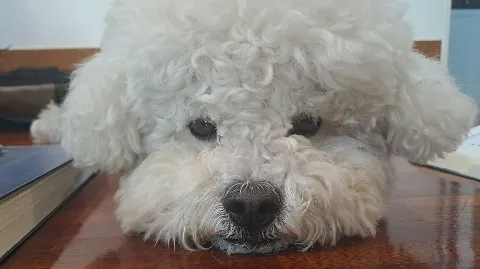 정모 대표 이미지