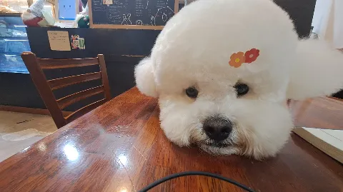 정모 대표 이미지