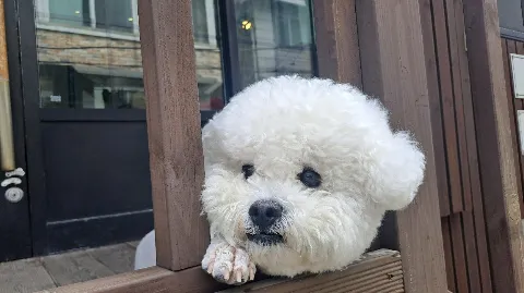 정모 대표 이미지