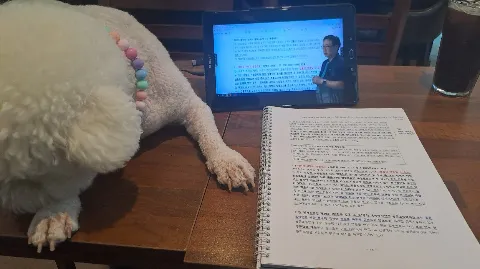 정모 대표 이미지