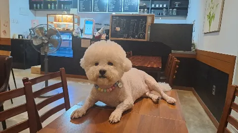 정모 대표 이미지
