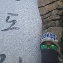 member face