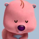 member face