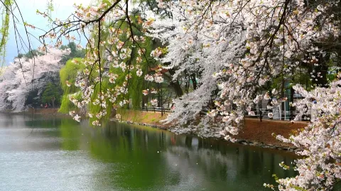 정모 대표 이미지